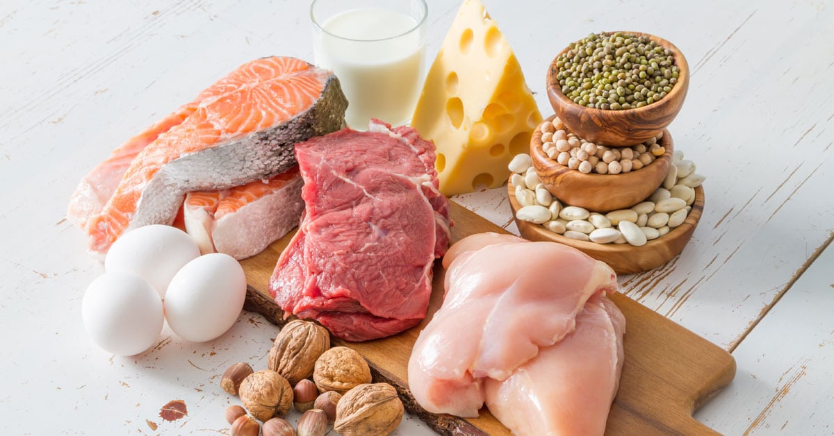 10 Haufige Fragen Uber Protein