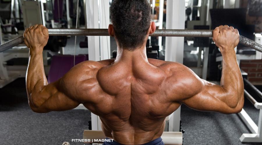 was nehmen profi bodybuilder zum abnehmen was nehmen profi bodybuilder zum abnehmen