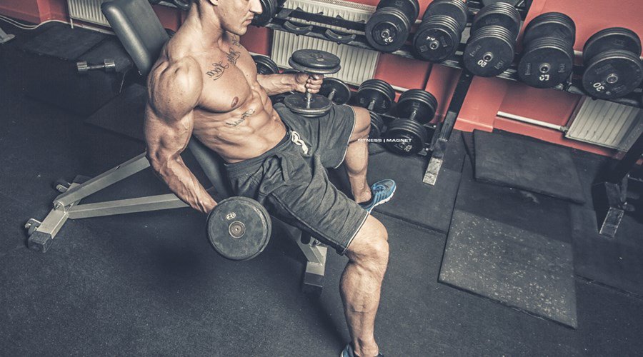 Alles über ZMA - Fitnessmagnet©