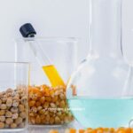 Tout ce que vous devez savoir sur les aliments génétiquement modifiés
