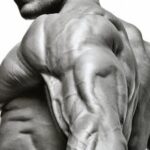 The 11 laws of triceps training