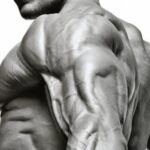 Le 11 leggi sull'allenamento dei tricipiti