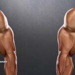 Die 115 besten Muskelaufbau-Tipps