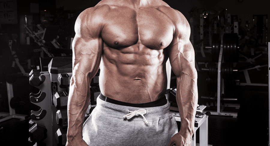 German Volume Training (GVT) die ultimative Trainingsmethode?
