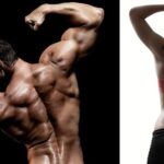 Guide for the back training