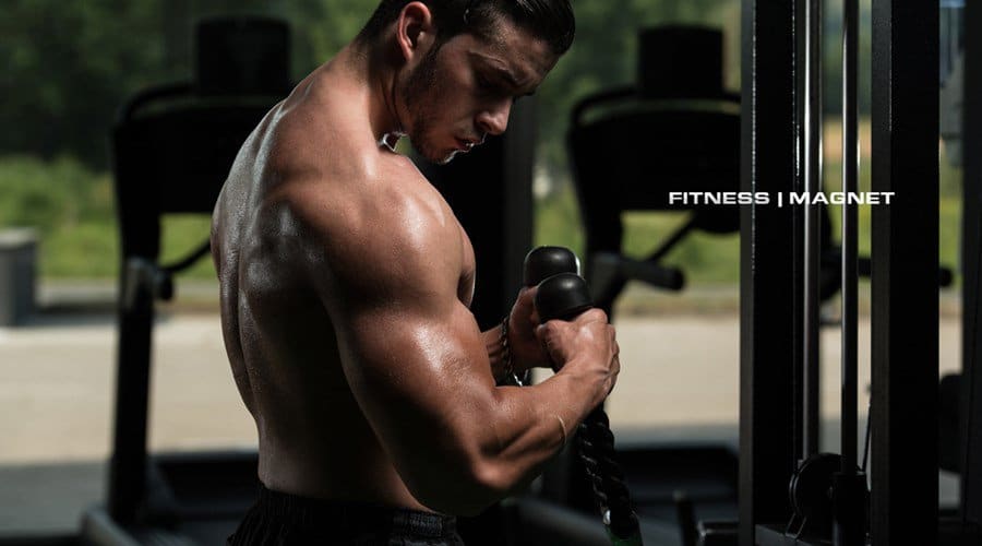 Heavy Duty - die einzig wahre Methode? - Fitnessmagnet©