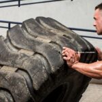 Bases de construction musculaire
