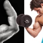 Muskelaufbau – So geht’s!