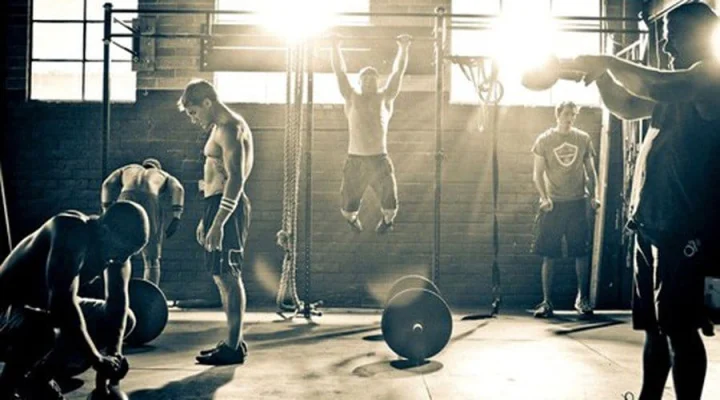 muscle building