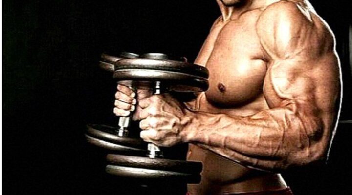 la costruzione del muscolo