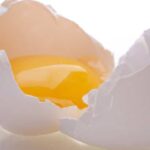 How healthy are eggs?