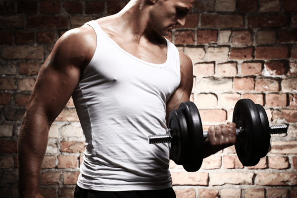 la costruzione del muscolo